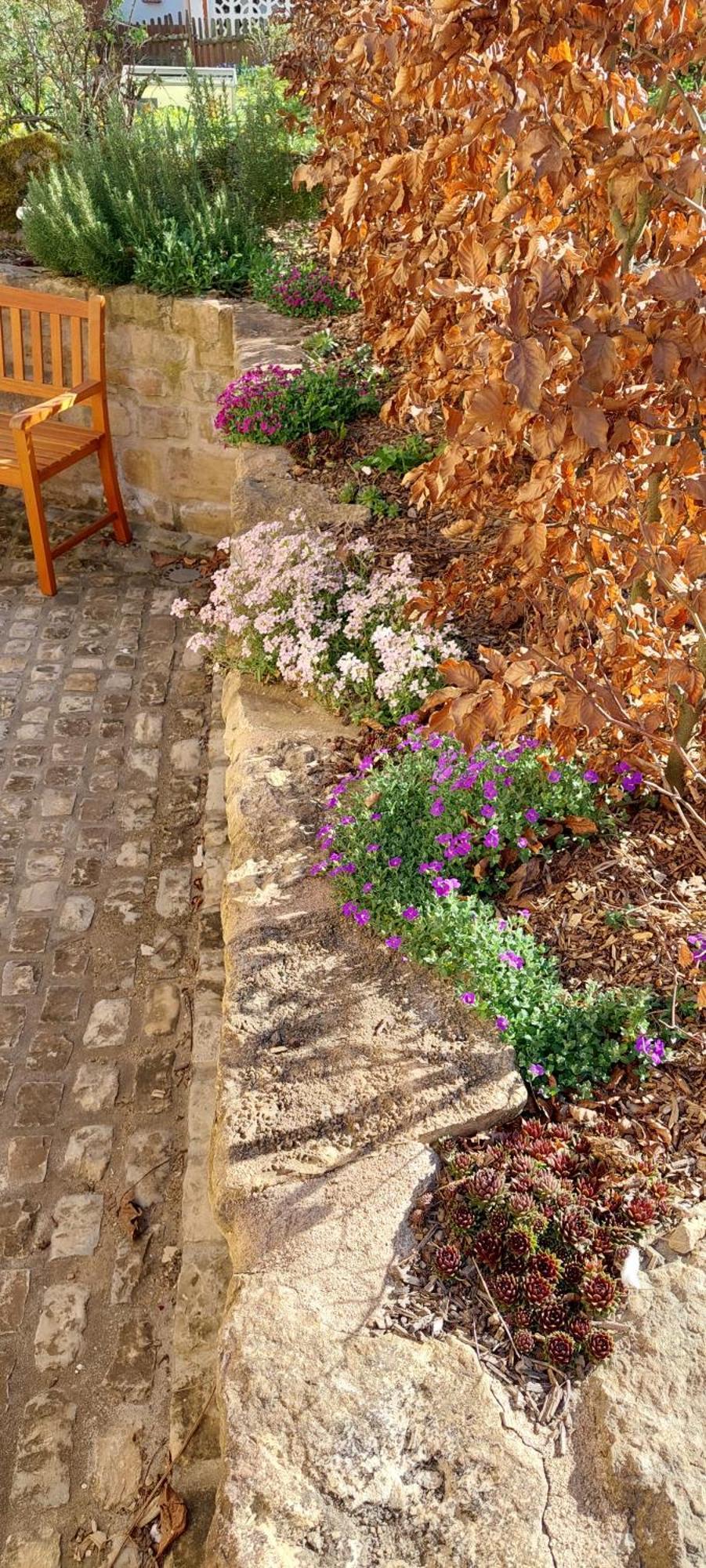 Denkmalgeschuetztes Ferienhaus In Der Suedeifel - Ferienhaus Hazen Bettingen Εξωτερικό φωτογραφία